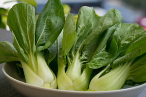 Bok Choy green lettuce