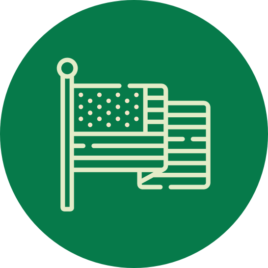 flag icon