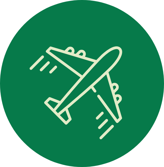 plane icon