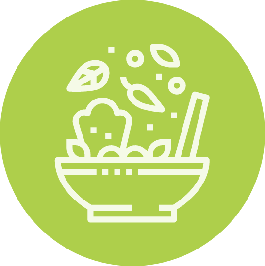 healthy bowl icon